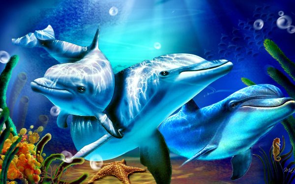 Animal Dolphin Bubble Starfish Seahorse HD Wallpaper | Background Image