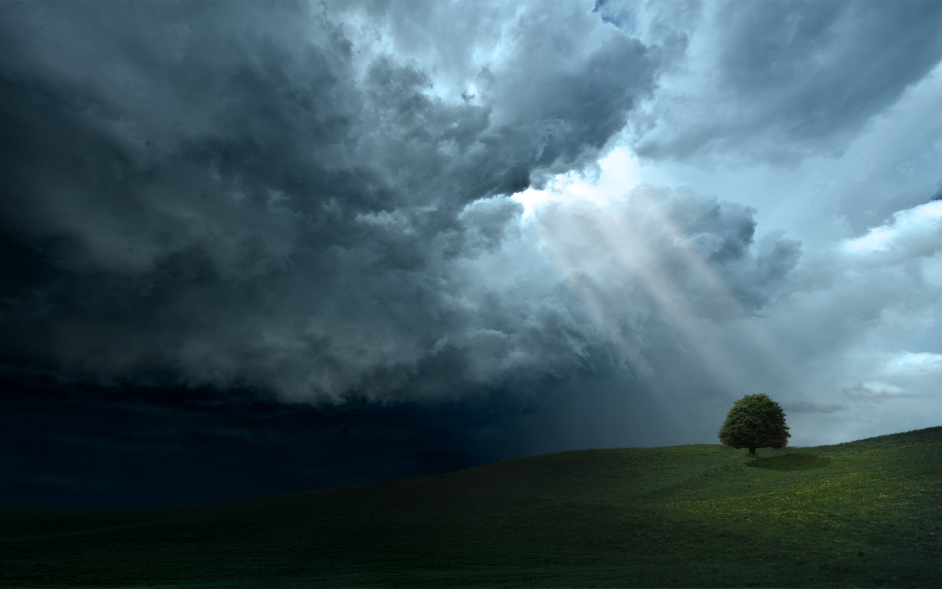 Download Lonely Tree Sunbeam Dark Cloud Sky Green Field Landscape Nature Tree Dark Nature HD Wallpaper