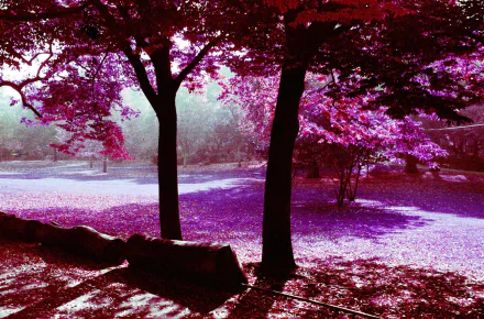 Infrared photography HD PC desktop wallpaper and background: purple-tinted park with silhouetted trees, a stone wall in foreground and sunlit grassy meadow.