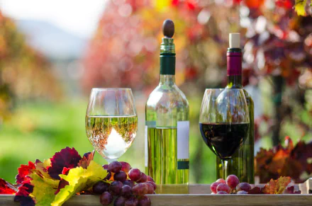 A still life scene featuring a glass of white wine and a bottle of red wine, surrounded by grapes and colorful leaves, with a soft bokeh effect and vibrant vineyard in the background.