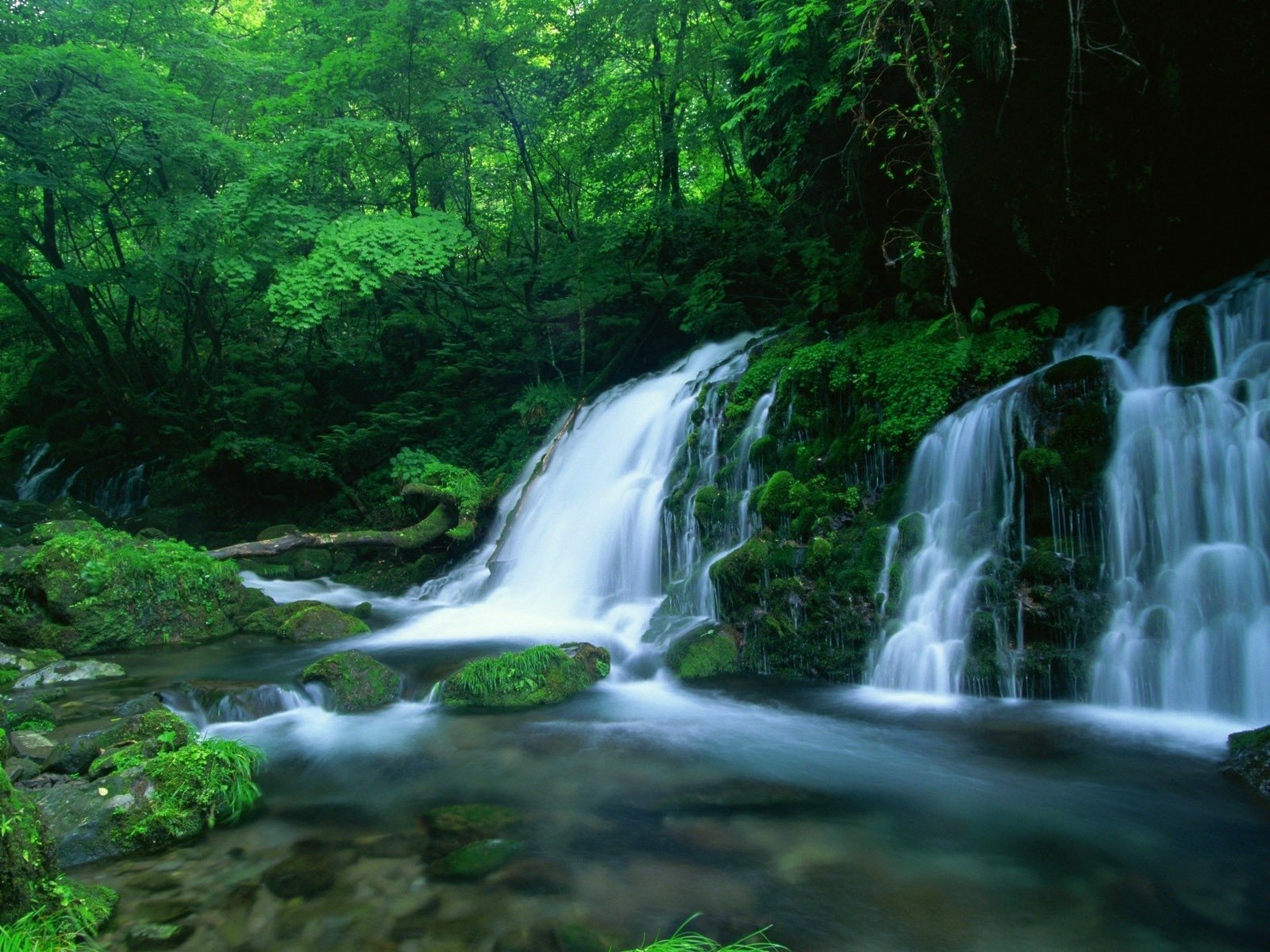 Forest Waterfall HD Wallpapers on WallpaperDog