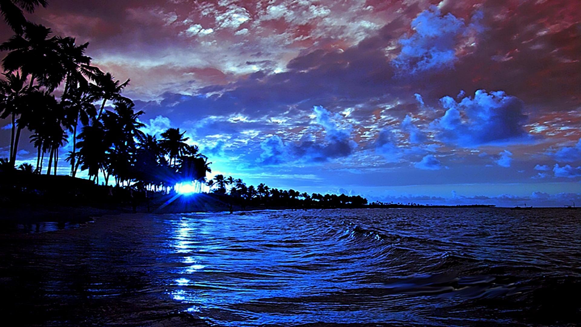 Download Blue Cloud Sunset Sun Silhouette Palm Tree Ocean Nature Beach
