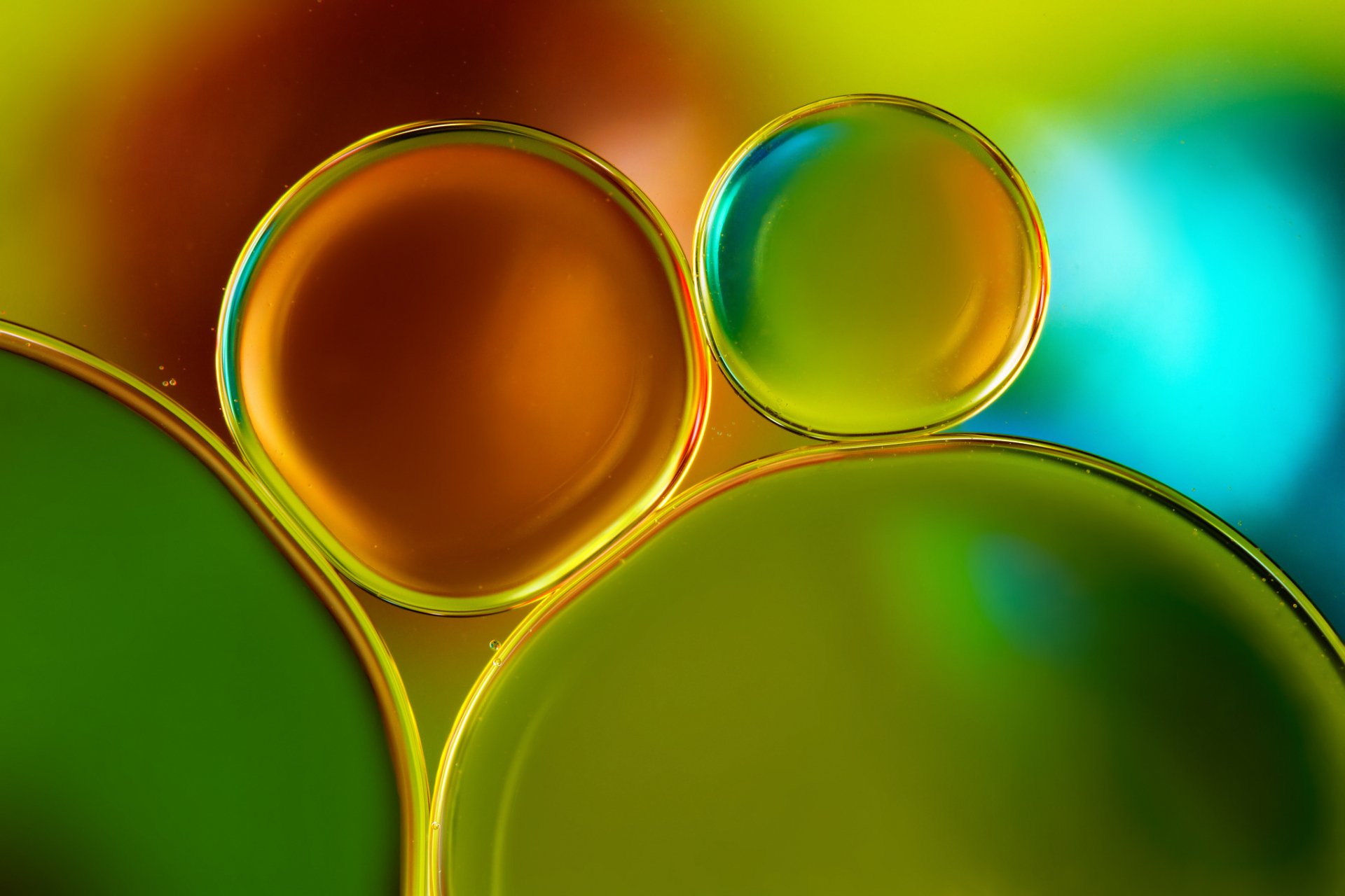 Colorful Abstract Bubbles - HD Wallpaper