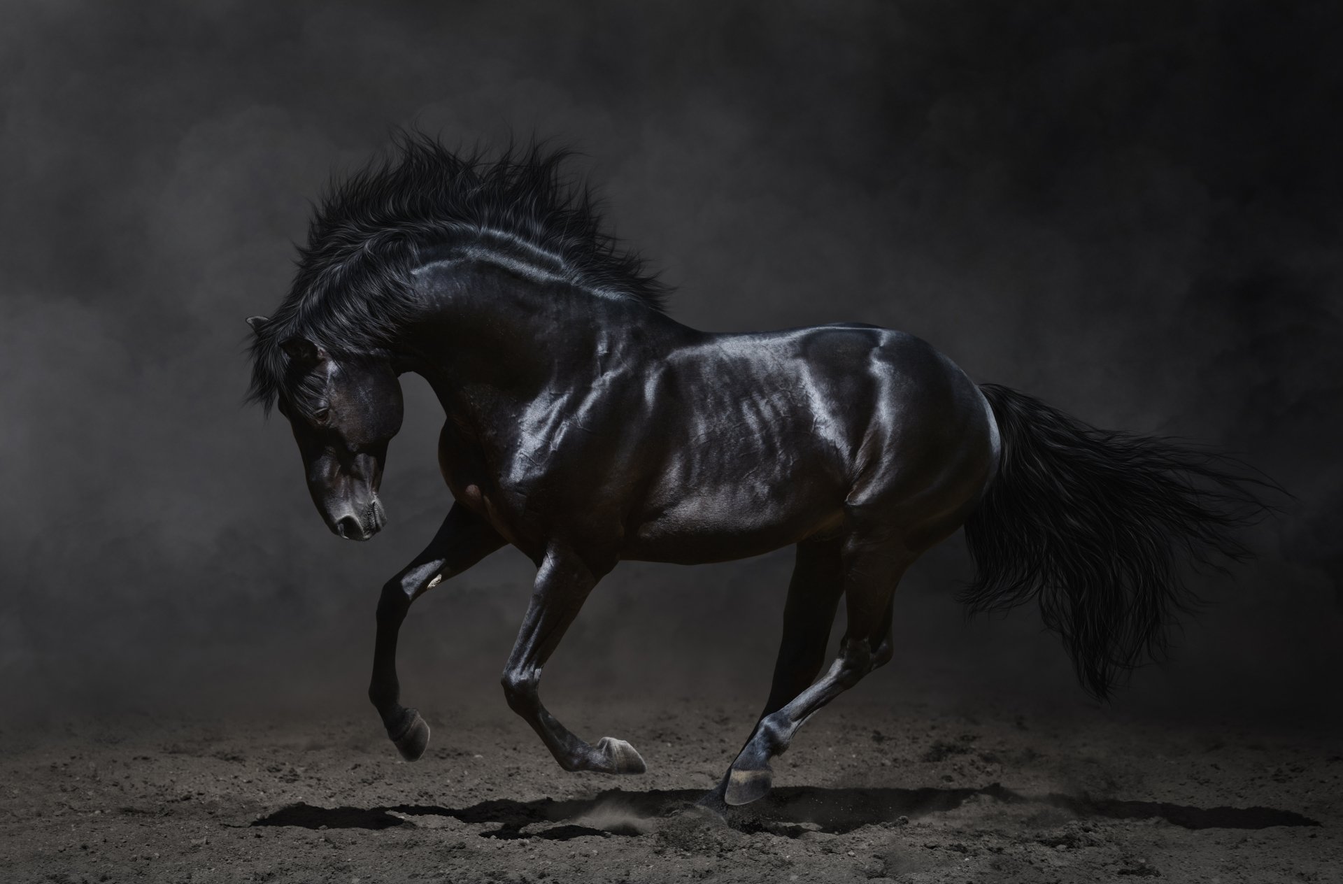 High-definition desktop wallpaper of a majestic black horse galloping against a dark, misty background.