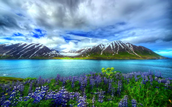 A stunning landscape featuring snow-capped mountains, a serene lake, and vibrant lupine flowers against a backdrop of dramatic clouds, embodying the beauty of nature.