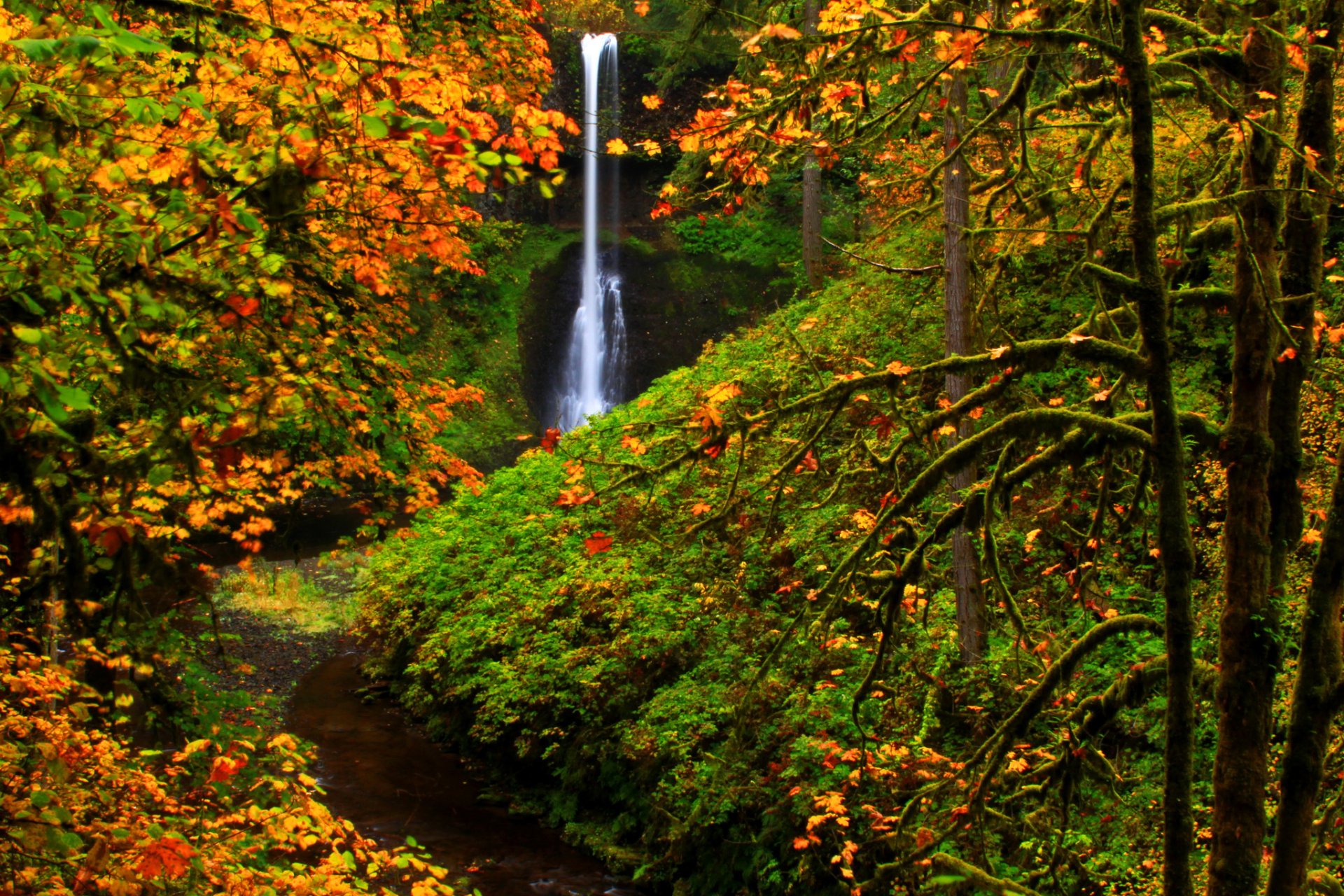 Download Stream Nature Tree Fall Silver Falls Waterfall HD Wallpaper