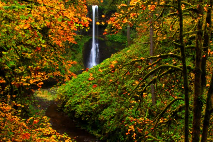  Silver Falls State Park, Oregon in Autumn