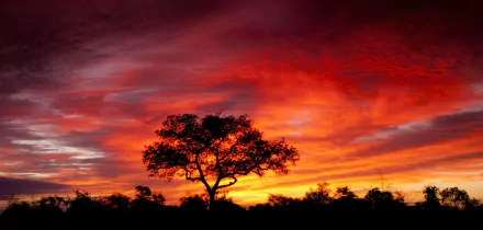  South African Sunset