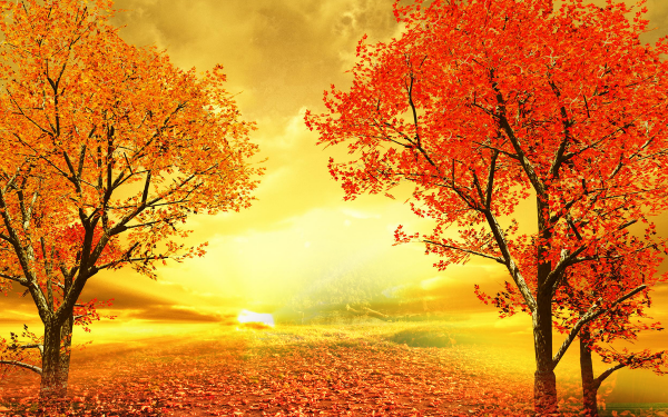 Artistic Painting Fall Tree Sunset Leaf HD Wallpaper | Background Image