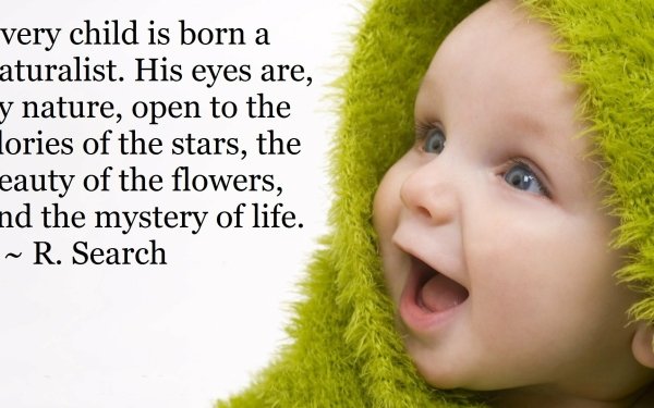 Misc Quote Baby Child Statement HD Wallpaper | Background Image