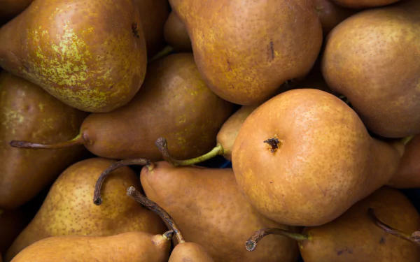 Close-up of ripe brown pears piled together — fruit food photograph, 5K Ultra HD PC desktop wallpaper/background.