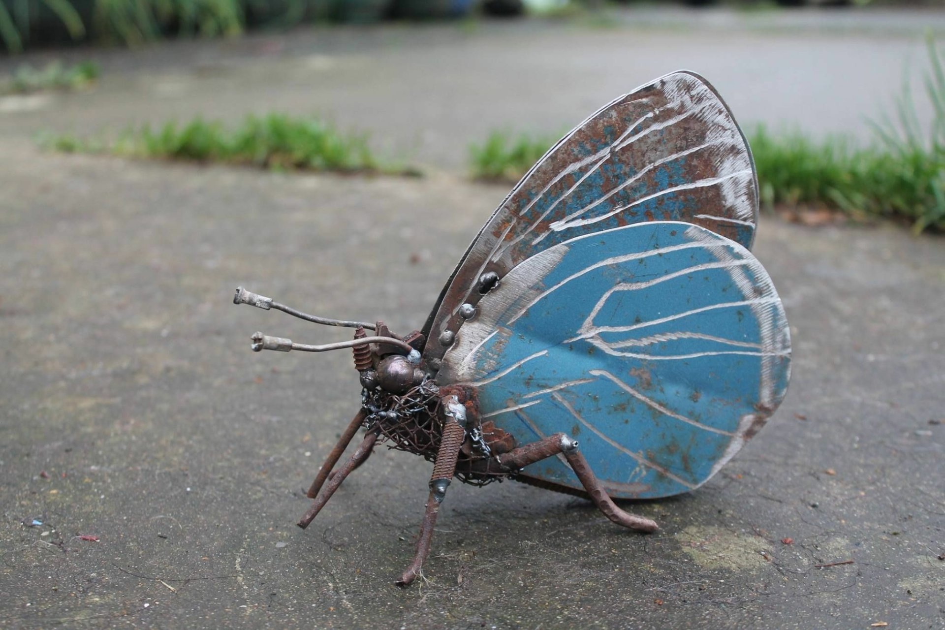 Download Butterfly Scrap Metal Art Man Made Sculpture HD Wallpaper by John Brown