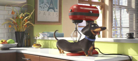 A charming scene from The Secret Life of Pets, featuring a playful dachshund next to a bright red mixer on a kitchen countertop, creating a vibrant HD desktop wallpaper.