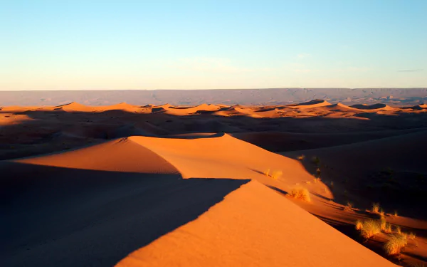 A stunning HD desktop wallpaper showcasing the golden sand dunes of a Moroccan desert under a clear sky on the horizon.
