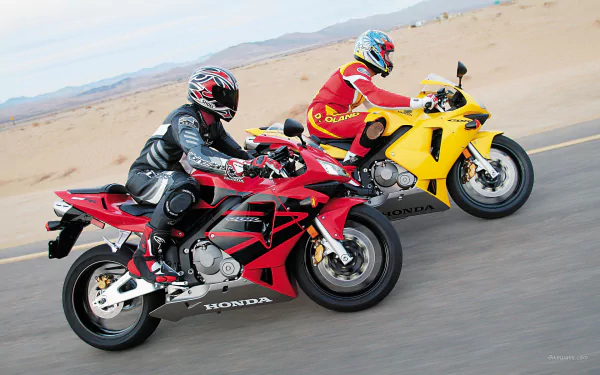 race motorcycle vehicle Honda CBR600RR HD Desktop Wallpaper | Background Image