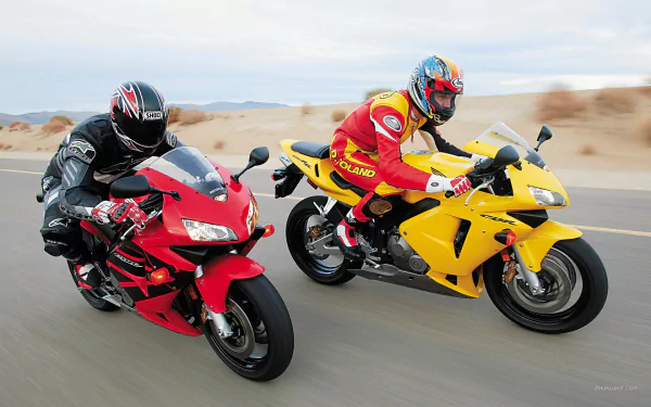race motorcycle vehicle Honda CBR600RR HD Desktop Wallpaper | Background Image
