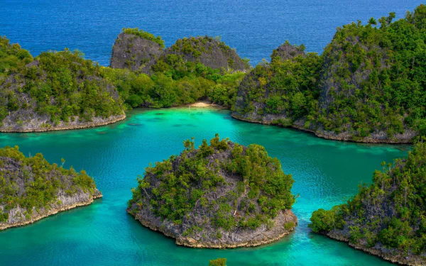 Turquoise ocean water surrounds green tree-covered islands in a scenic bay, showcasing the natural beauty of the Philippines and Indonesia.