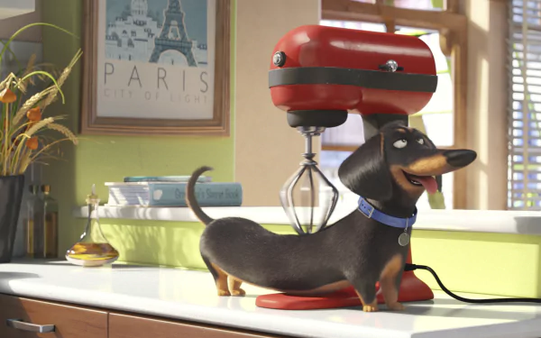 A charming scene from The Secret Life of Pets, featuring a playful dachshund next to a bright red mixer on a kitchen countertop, creating a vibrant HD desktop wallpaper.