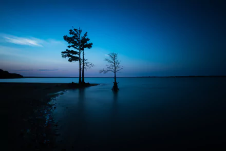 HD desktop wallpaper showing a dark night sky over the ocean with a lonely tree silhouetted on the horizon, capturing serene nature and tranquility.