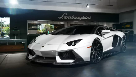 HD desktop wallpaper featuring a sleek white Lamborghini Aventador, displayed in a showroom with the Lamborghini logo in the background.