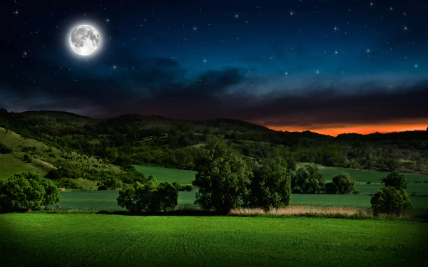 A HD desktop wallpaper featuring a starry night sky, a bright moon, and a serene field with rolling hills in the background, highlighting the beauty of nature.