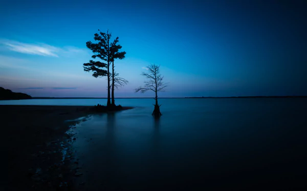 HD desktop wallpaper showing a dark night sky over the ocean with a lonely tree silhouetted on the horizon, capturing serene nature and tranquility.