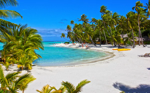 4K Ultra HD wallpaper of Bora Bora’s tropical coastline with turquoise ocean, white sandy beach, palm trees, and colorful kayaks lined along the shore.
