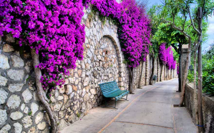 A vibrant scene featuring purple flowers cascading over a stone wall along a tranquil street, complemented by a green bench inviting leisurely strolls in this HD desktop wallpaper.