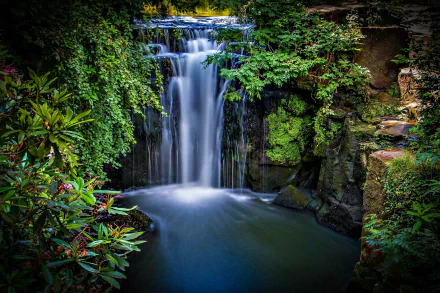 bush nature waterfall HD Desktop Wallpaper | Background Image
