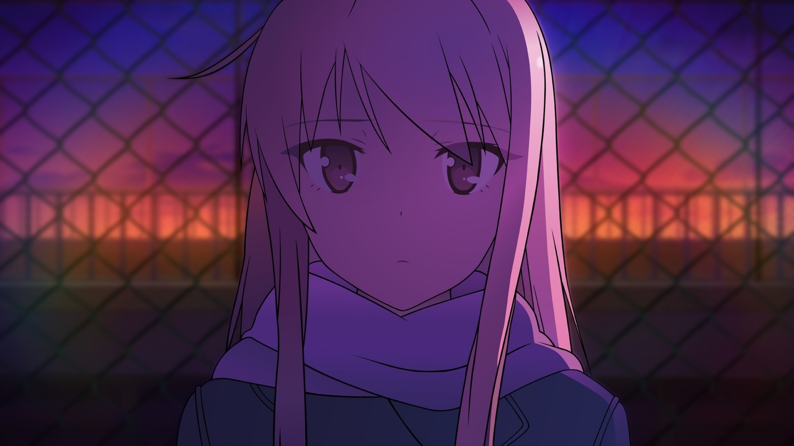 Sakurasou No Pet Na Kanojo Folge 1 Ger Sub Sakurasou No Pet Na Kanojo HD Wallpaper by Sn4cks