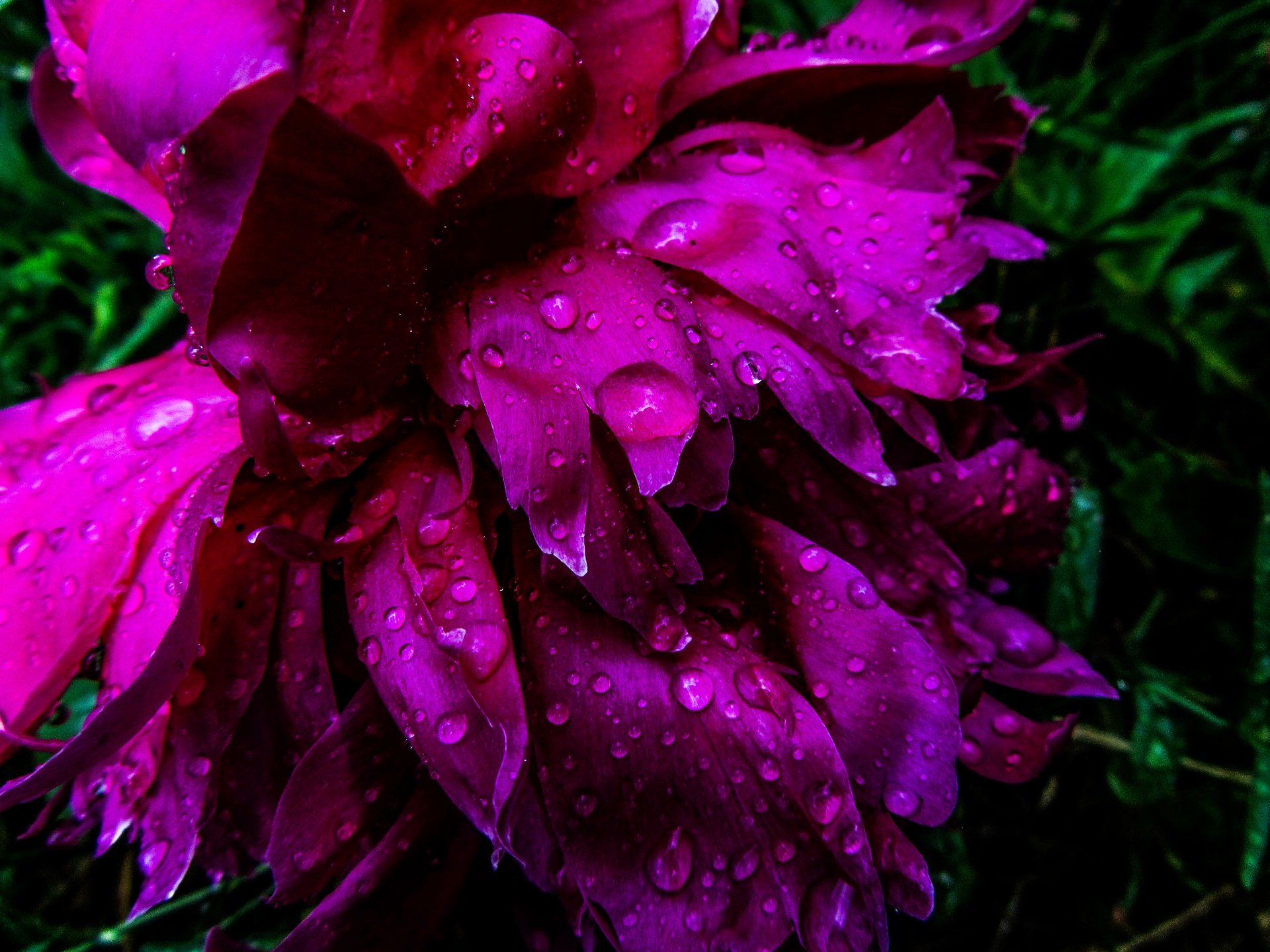 Download Nature Water Drop 4k Ultra HD Wallpaper by Vergilius