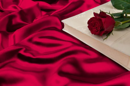  Red Rose and Book on Satin