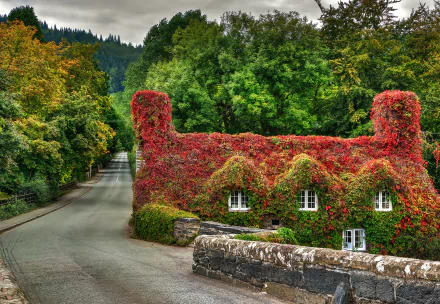 A scenic fall view in Wales features a charming house covered in vibrant ivy, surrounded by colorful leaves lining the road and lush greenery in the background.