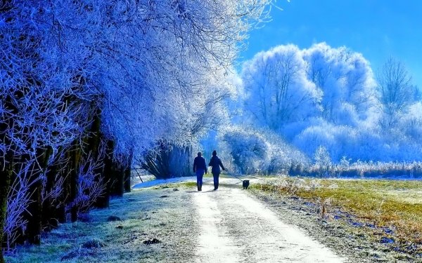 Photography Winter Earth Tree Couple Field Snow HD Wallpaper | Background Image