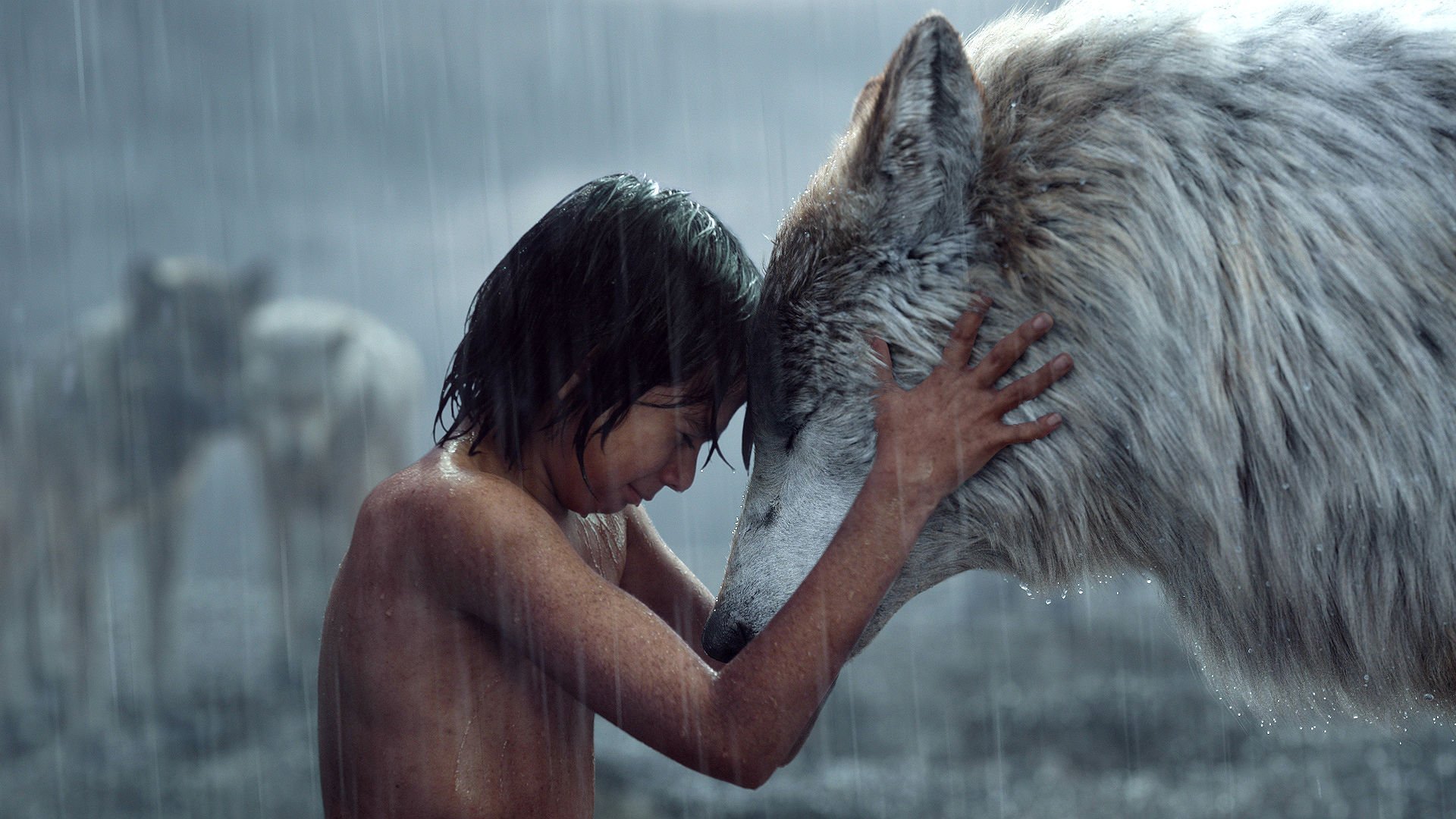 Movie The Jungle Book (2016) HD Wallpaper | Background Image