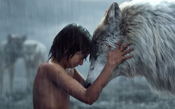 A touching HD desktop wallpaper from The Jungle Book (2016) features Mowgli embracing a wolf in the rain, capturing themes of love and companionship.