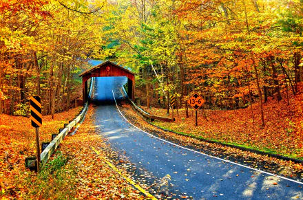 A picturesque autumn scene featuring a covered bridge over a winding road, surrounded by vibrant fall foliage and trees, captured in stunning 4K Ultra HD quality.