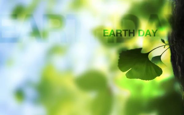 HD desktop wallpaper featuring a blurred green leaf with sunlight filtering through, highlighting the text Earth Day in a fresh, nature-inspired design.