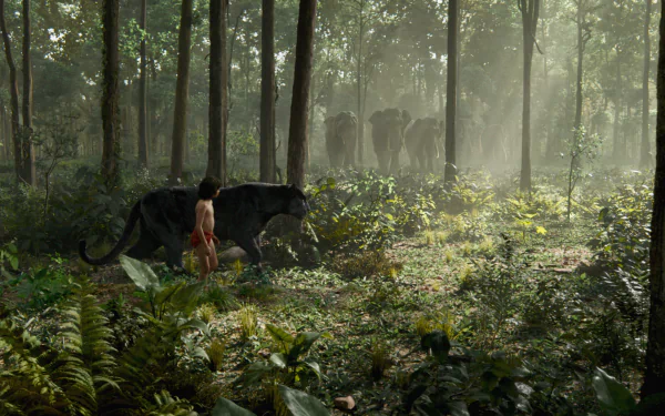 HD PC desktop wallpaper featuring Mowgli and Bagheera from The Jungle Book (2016) walking through a misty forest with elephants and a Black Panther presence in the background.
