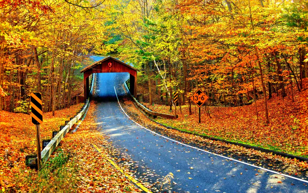 A picturesque autumn scene featuring a covered bridge over a winding road, surrounded by vibrant fall foliage and trees, captured in stunning 4K Ultra HD quality.