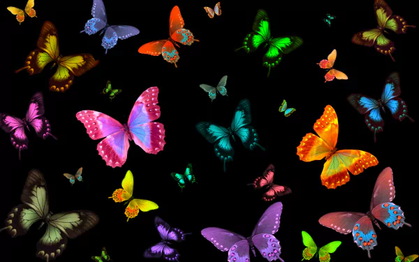 A vibrant HD wallpaper featuring a colorful array of butterflies in various shades, creating an artistic and lively background against a black backdrop.