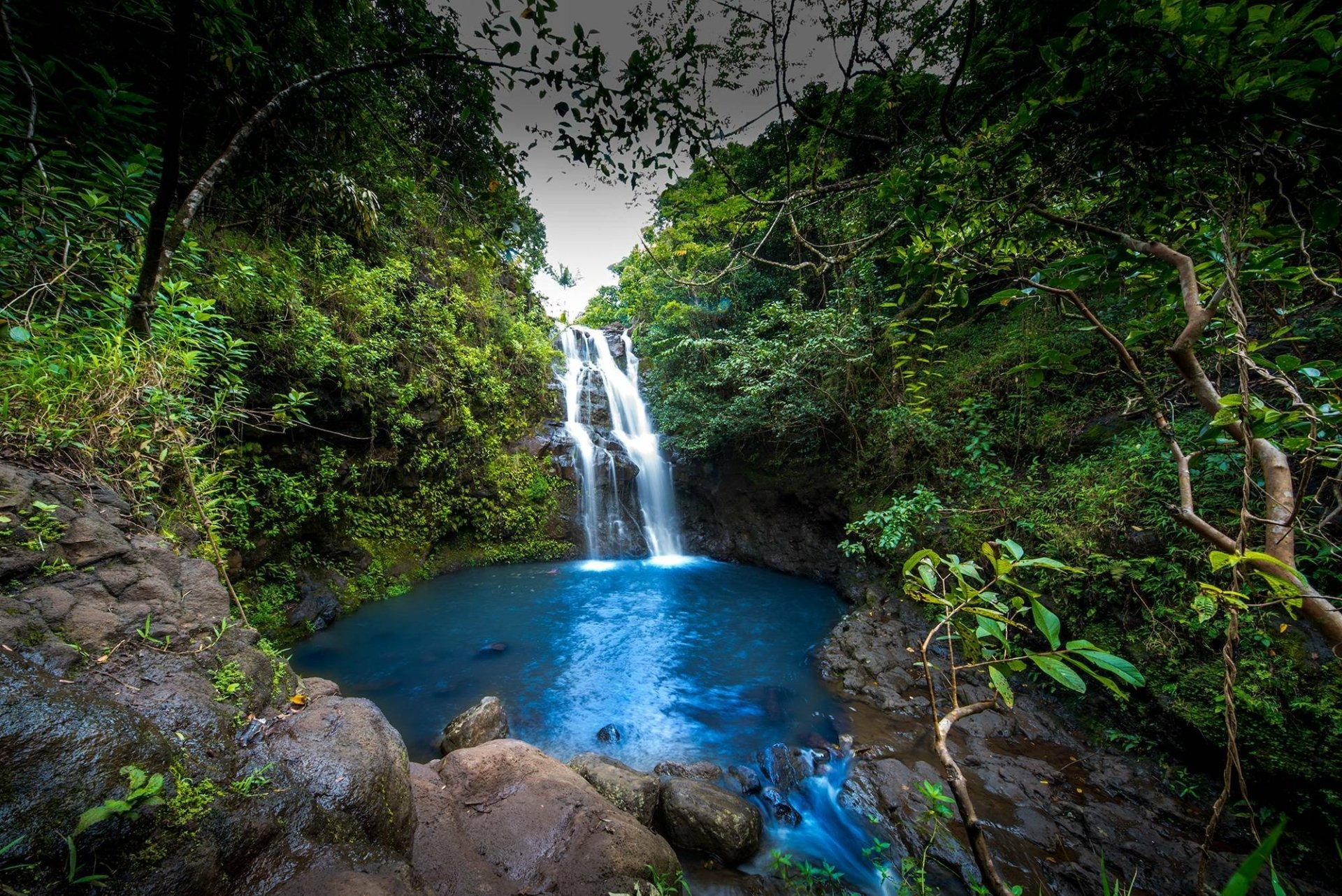 Lush green forest surrounding Waimano Falls in Hawaii, with crystal-clear water cascading into a serene blue pool, captured in vivid HD for a desktop wallpaper.