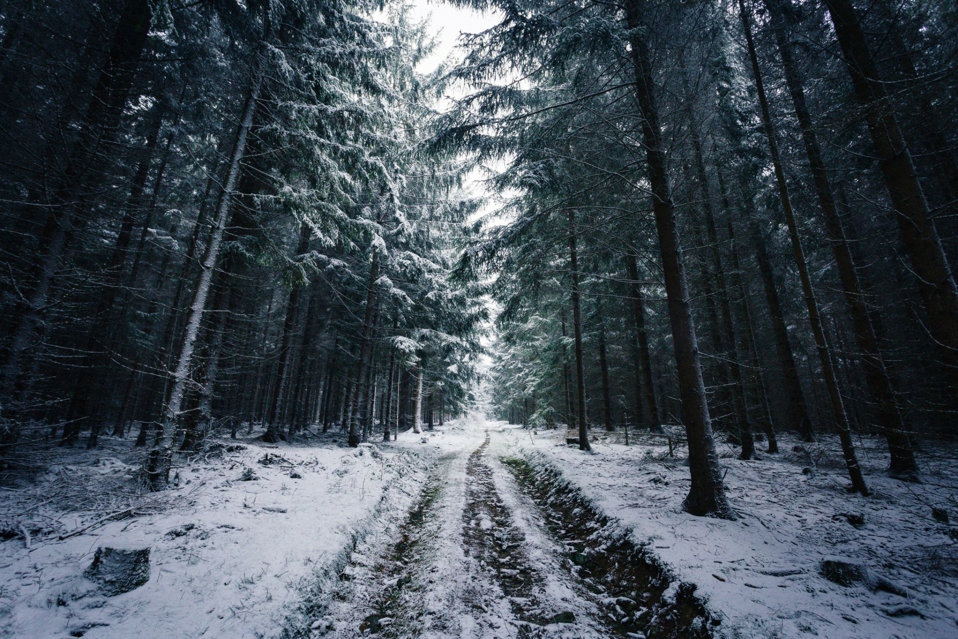 Download Norway Tree Snow Winter Forest Man Made Road HD Wallpaper by Johannes Hulsch