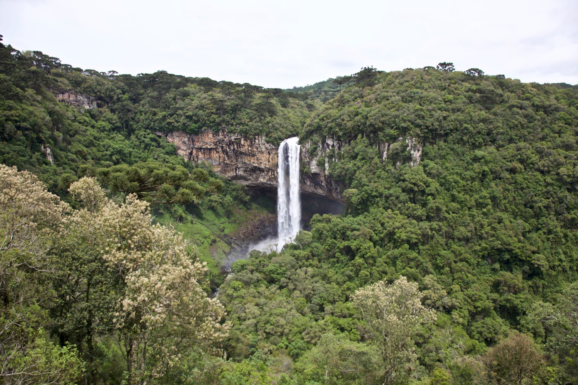 Caracol Falls cascading from a cliff into a verdant Brazilian forest, a nature scene rendered as a 2K Quad HD PC desktop wallpaper background.