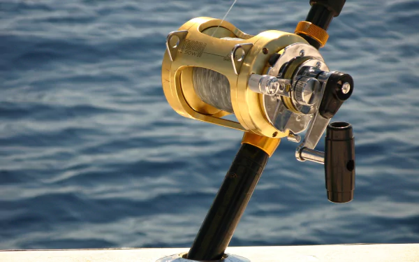  Deep sea fishing rod and reel by gwiseman