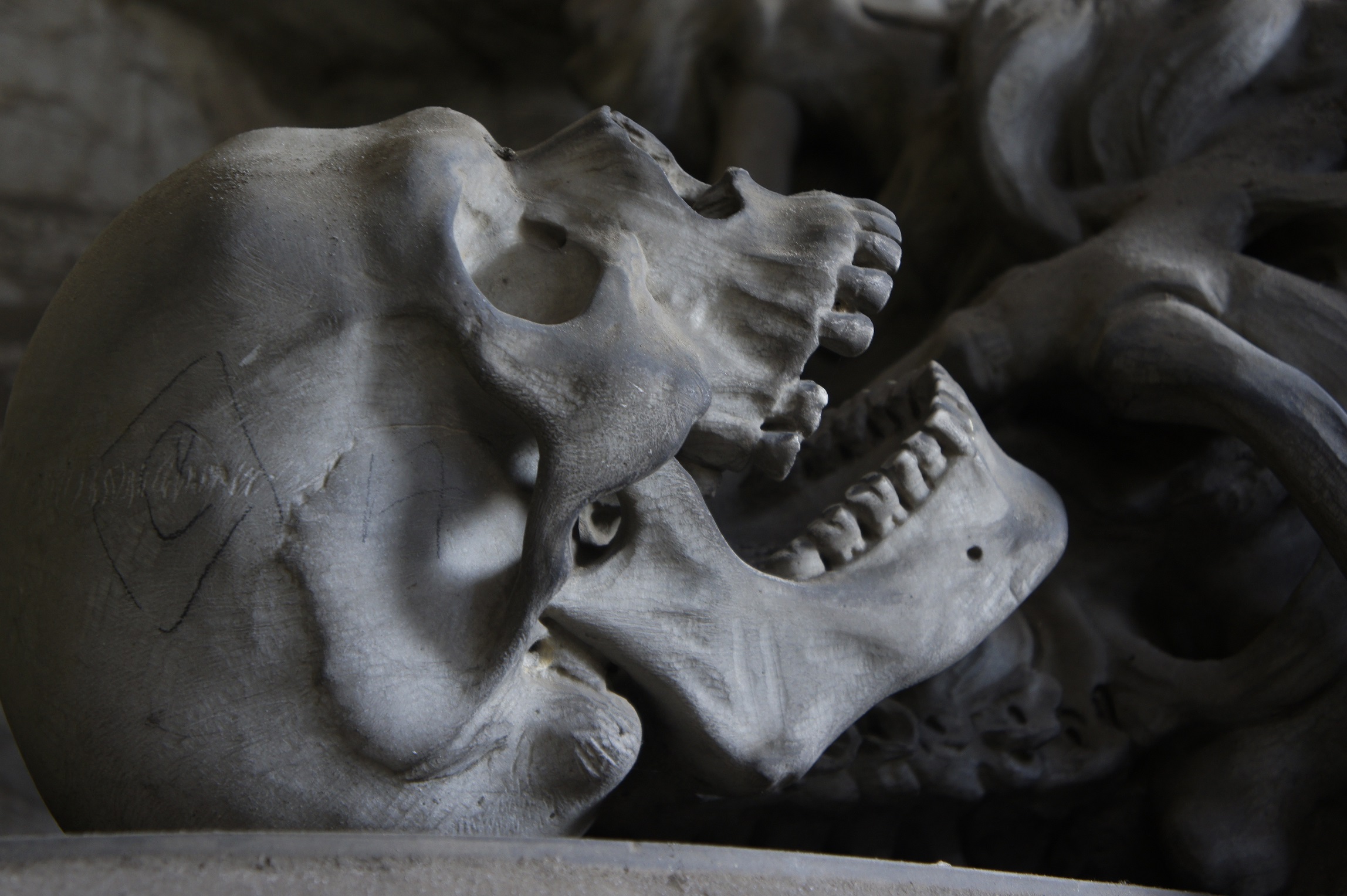 A skull on a grave in a cemetery in Genoa (Genova) Italy by elianemey