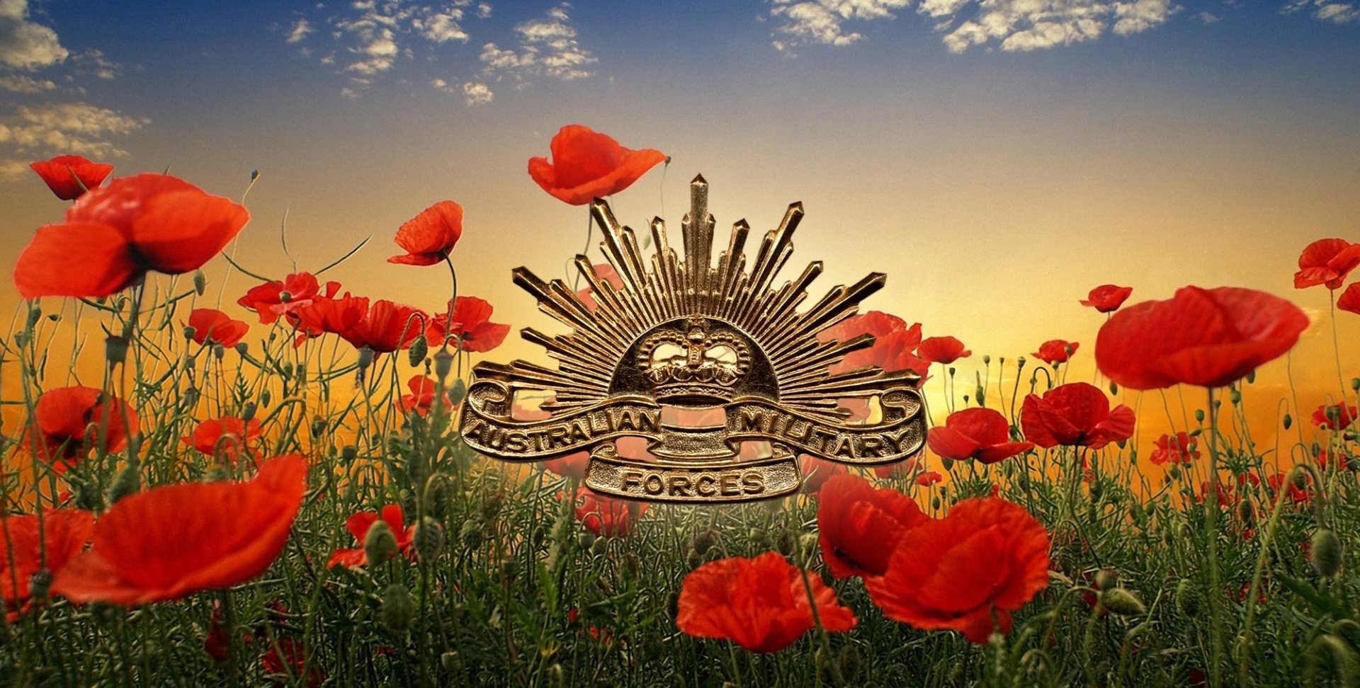 Anzac Remembrance Day 2024 News vrogue.co