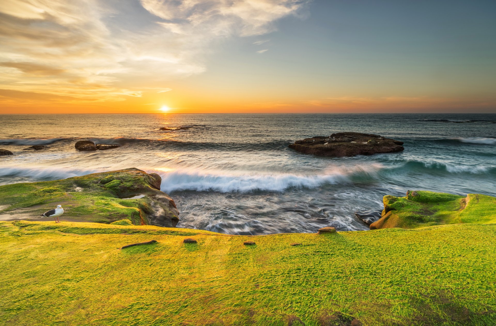 Download Horizon Sunset Seagull Coastline Nature Ocean 4k Ultra HD ...