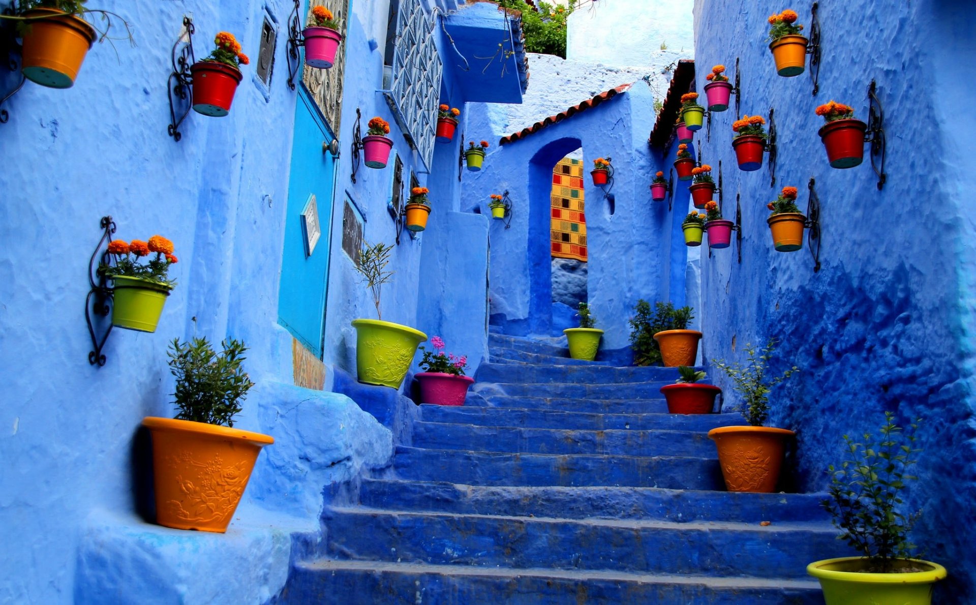 A colorful array of potted plants and flowers adorn vibrant blue walls along a stone stairway in this HD desktop wallpaper and background image.