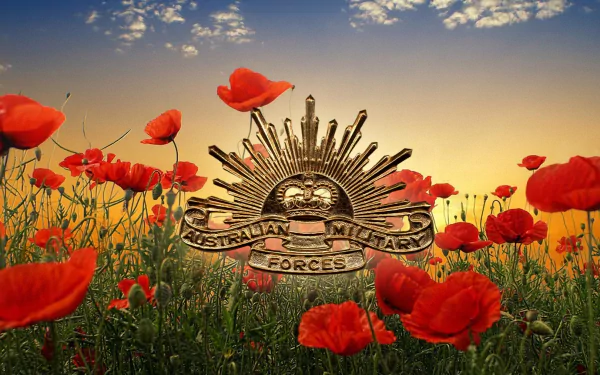  Australian Military Forces